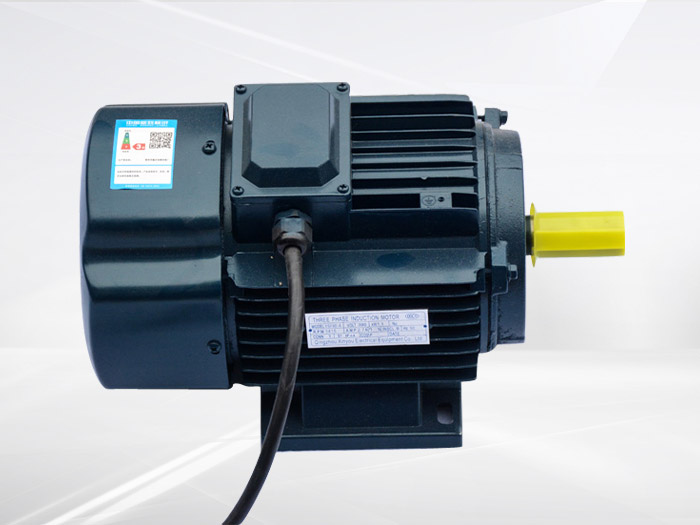 風(fēng)機(jī)專用電機(jī)