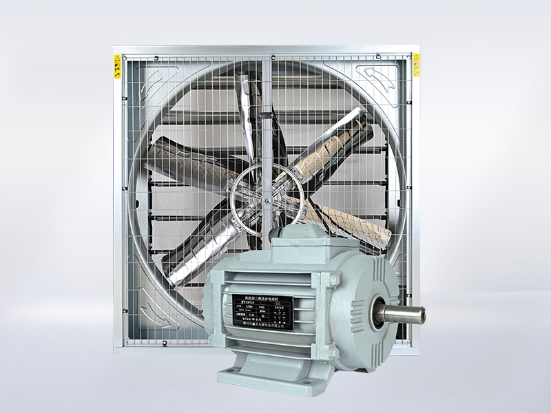 風(fēng)機(jī)用三相異步電動(dòng)機(jī)